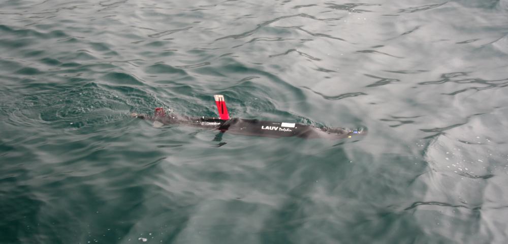 AUV in the water